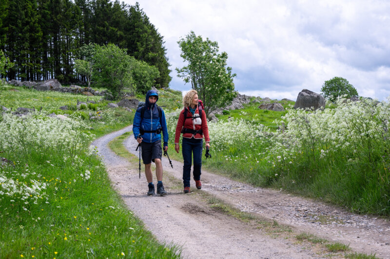 Compostelle - Bild Nr. 8