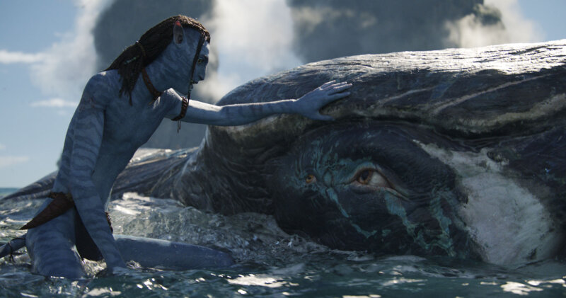 Avatar: The Way of Water - Bild Nr. 15