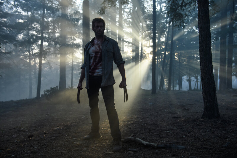 Logan - Bild Nr. 19